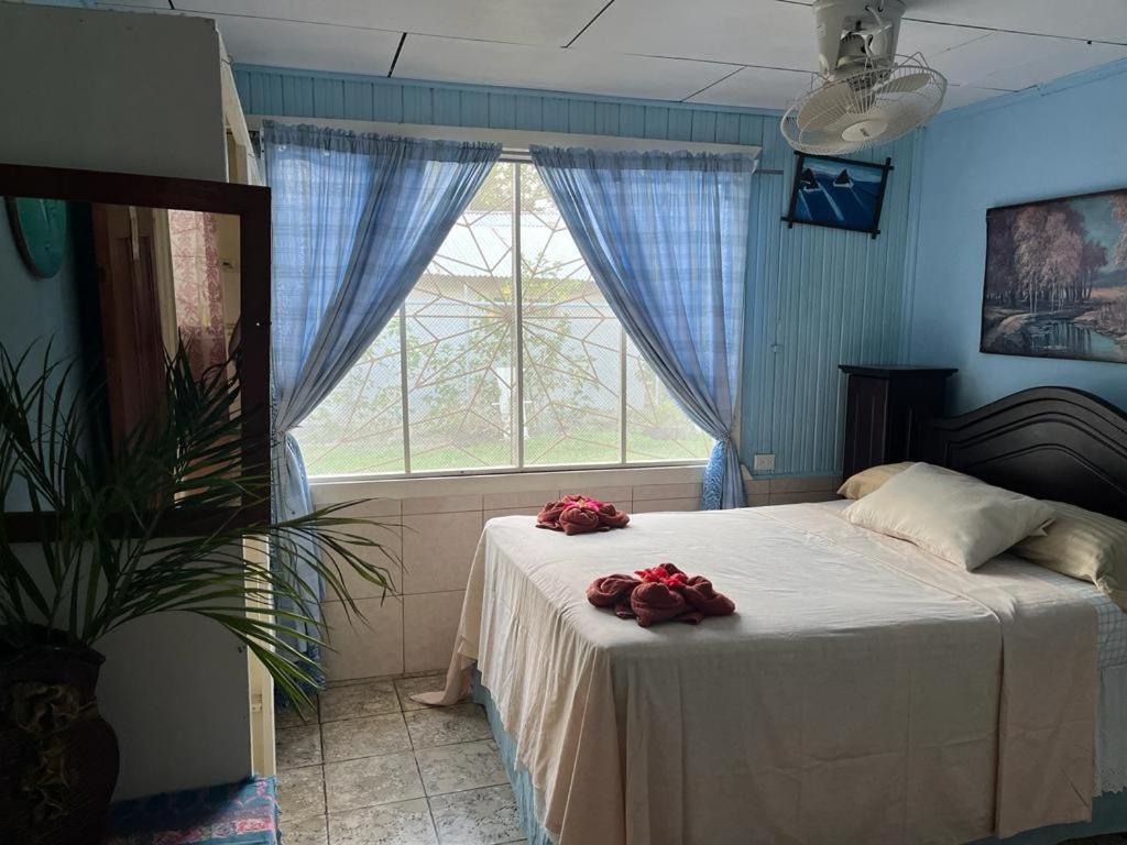 Hotel Margarita Sierpe Екстер'єр фото